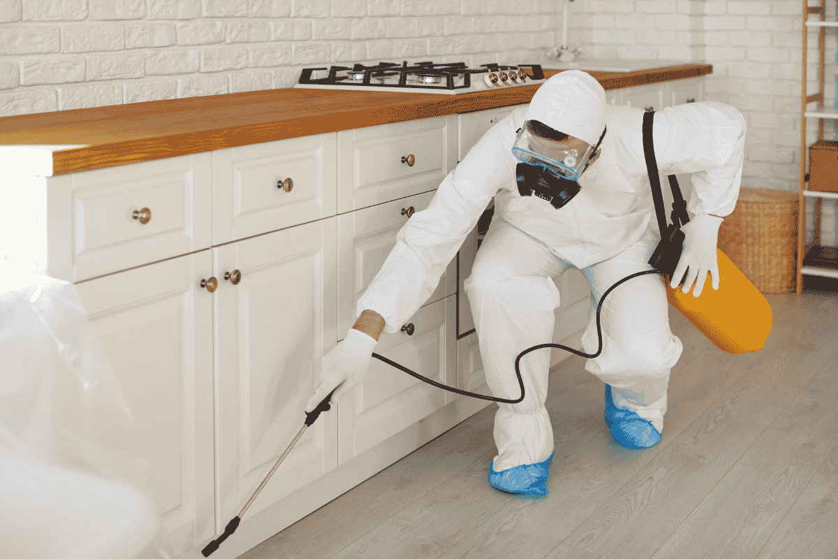 Cockroach Control in Hyderabad: Best Treatment for Homes and Kitchens